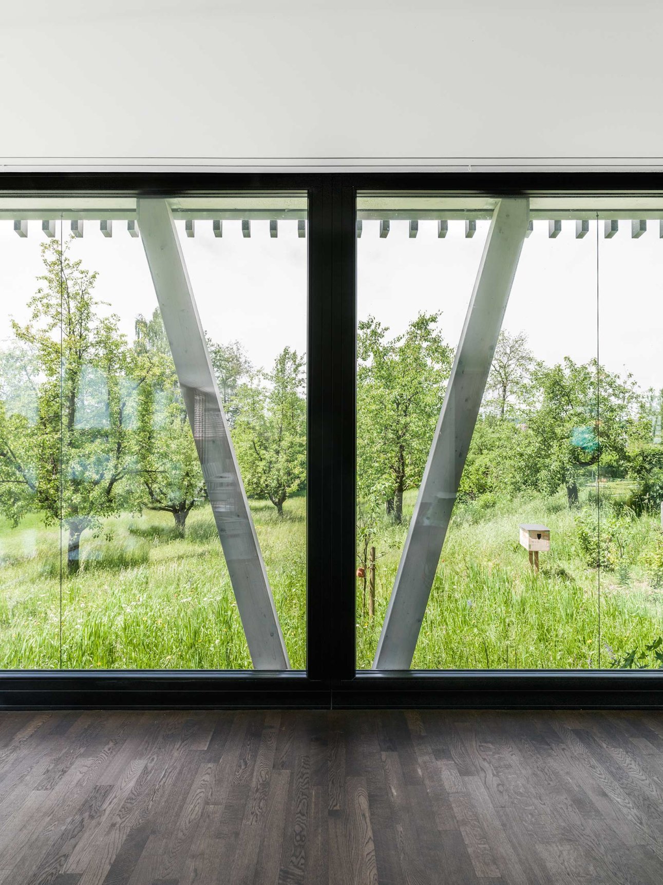 EFH in Hemishofen, SH