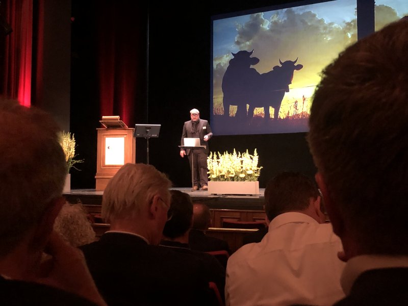 Dost am 12. Immobilien-Event der Schaffhauser Kantonalbank Dost am 12. Immobilien-Event der Schaffhauser Kantonalbank